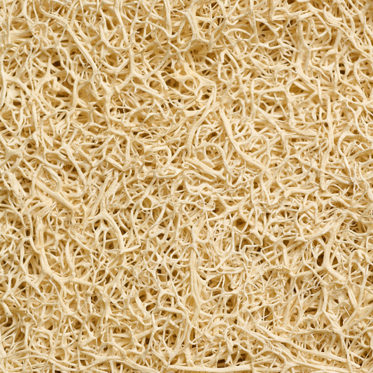 Luffa Schwamm - Natur