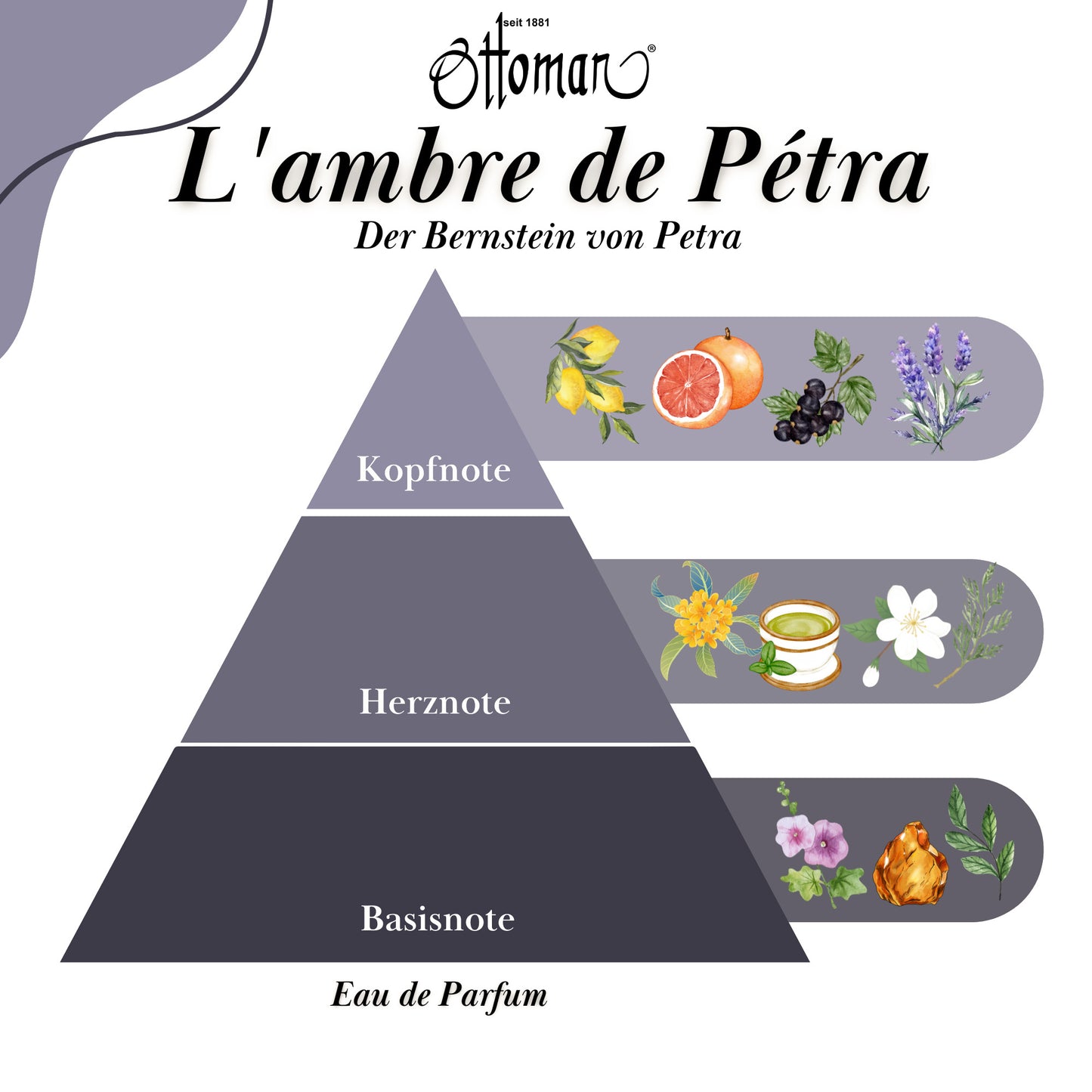 Parfüm - L'ambre de Pétra