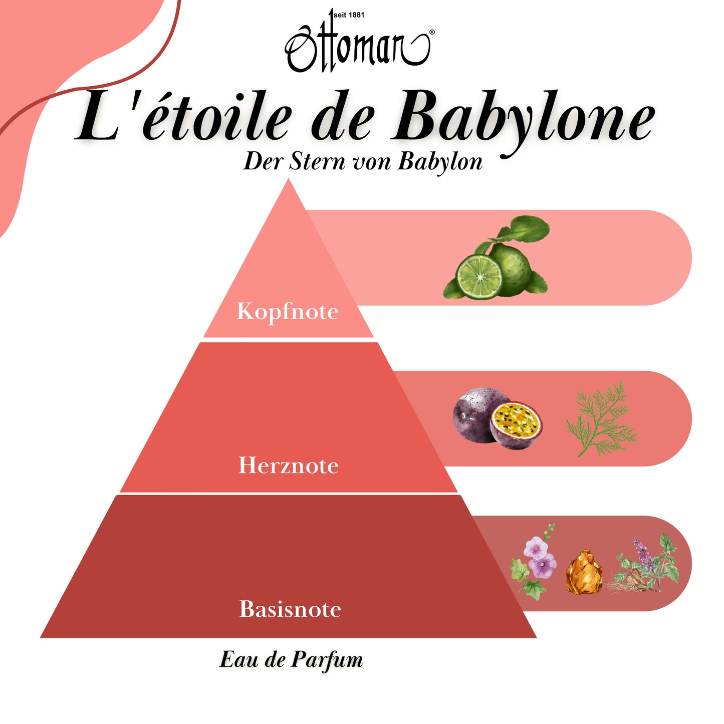 Parfüm - L'étoile de Babylone
