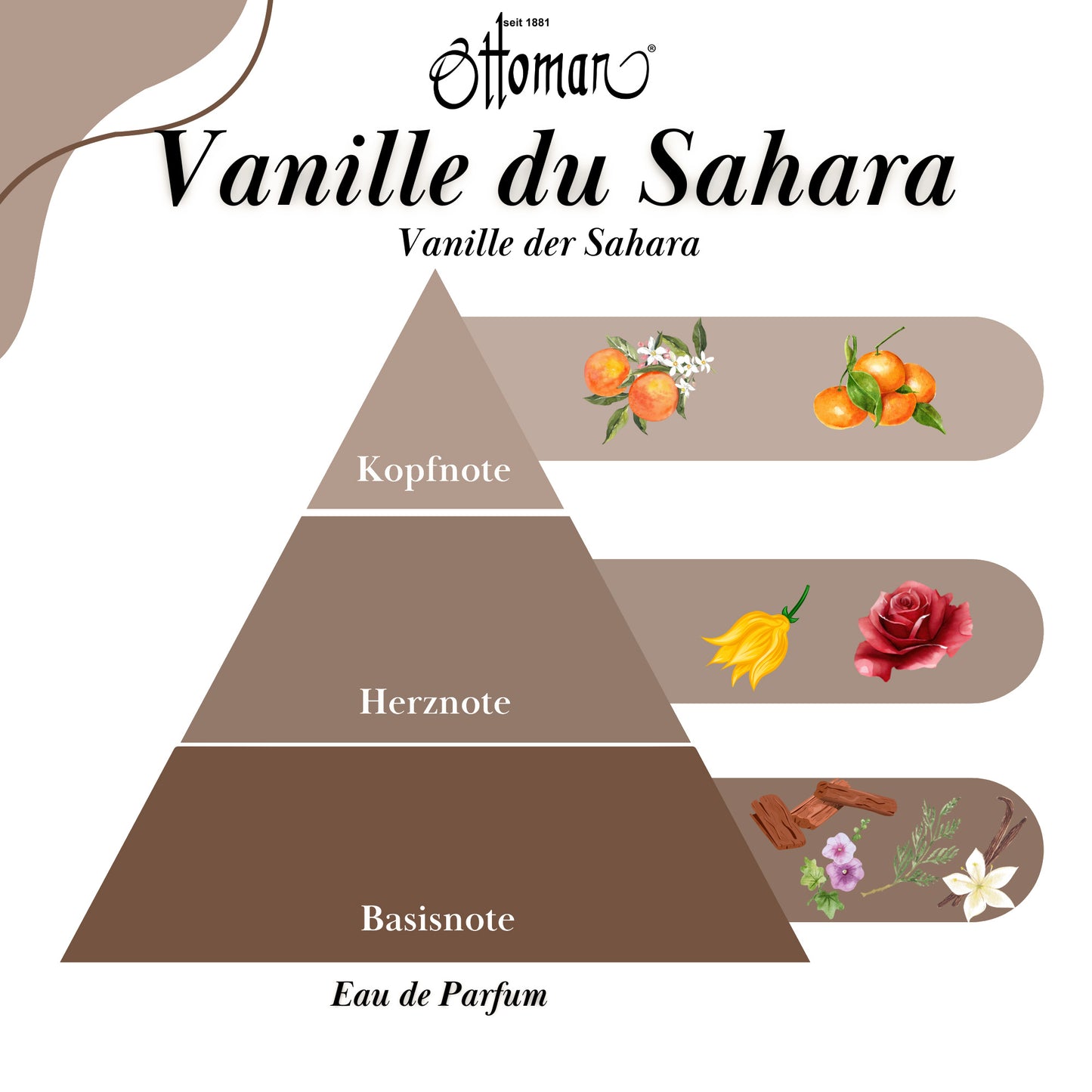 Parfüm - Vanille du Sahara