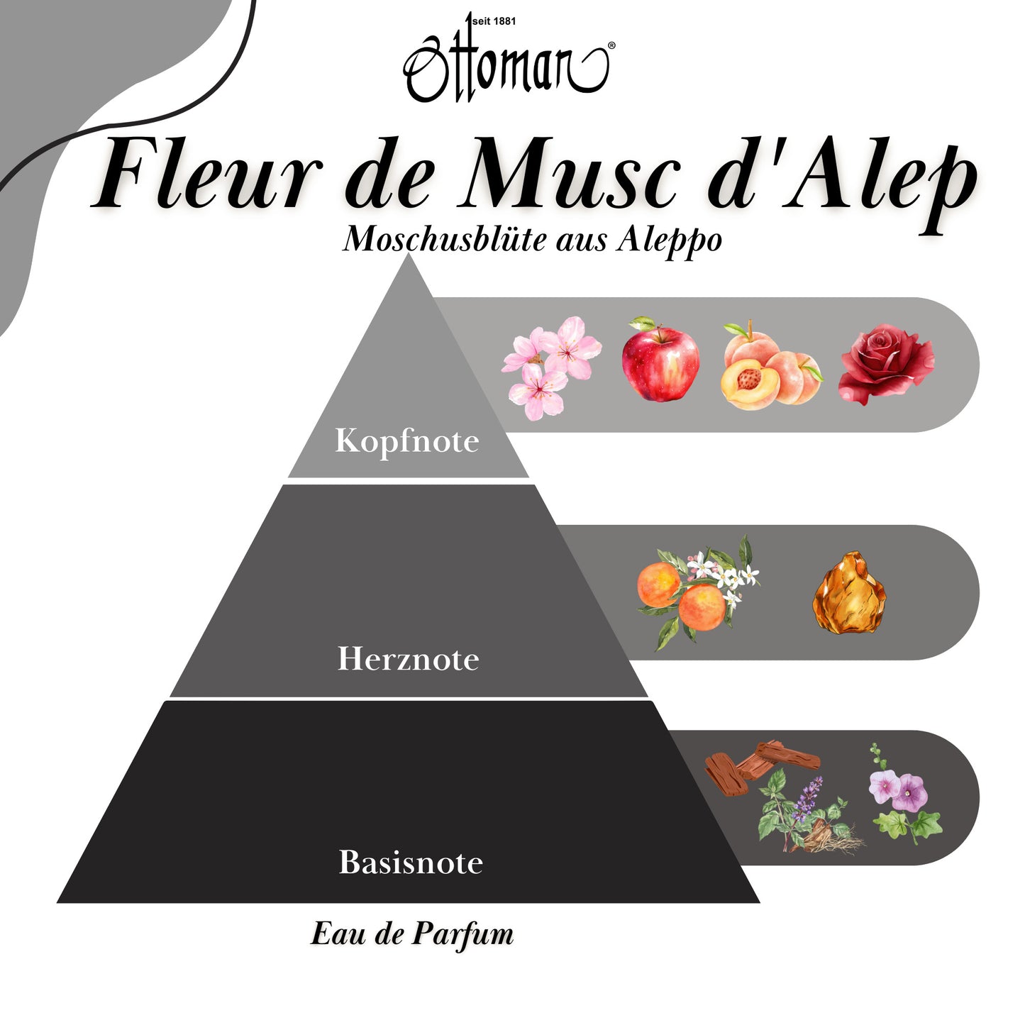 Parfüm - Fleur de Musc d'Alep