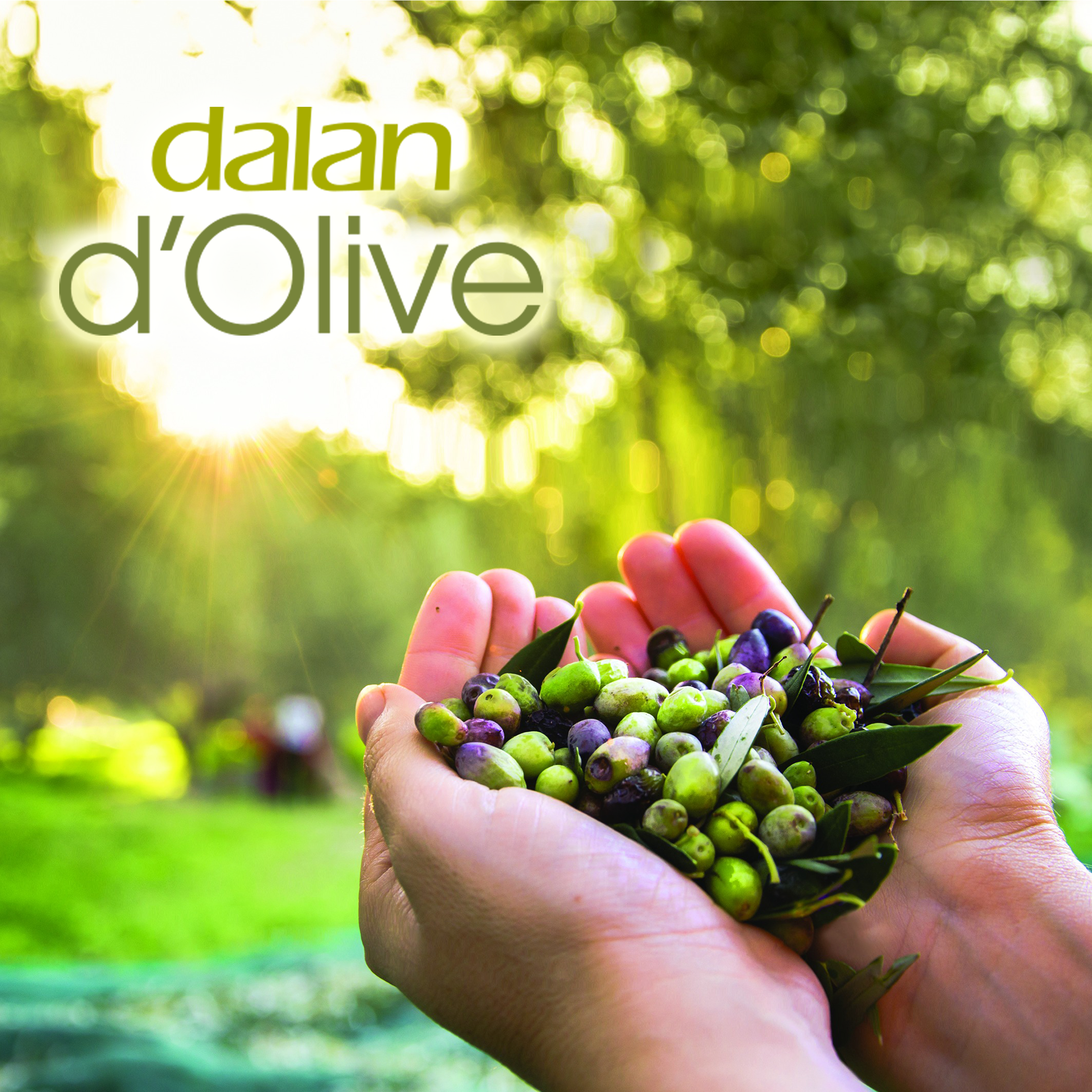 d'Olive - Geschenkset Duschgel & Bodycreme